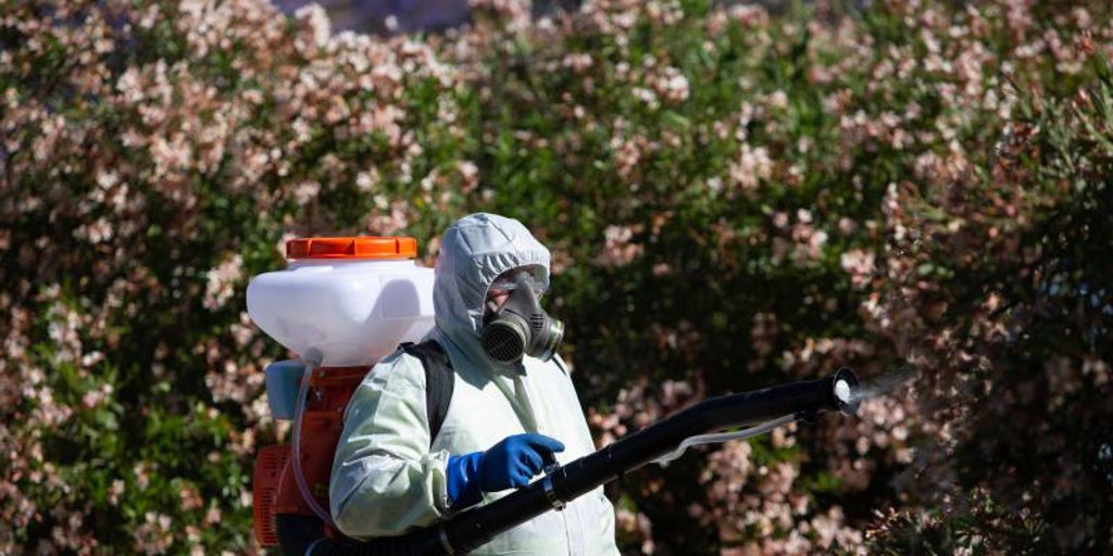 El Pedroso declarado área en alerta por presencia del virus del Nilo
