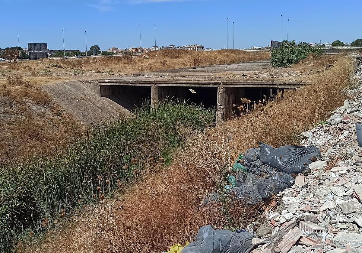 Entorno en el que ha sido localizado el cadáver