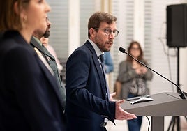 El Gobierno declara que «sólo el 10%» de los incendios forestales en Sevilla han sido intencionados