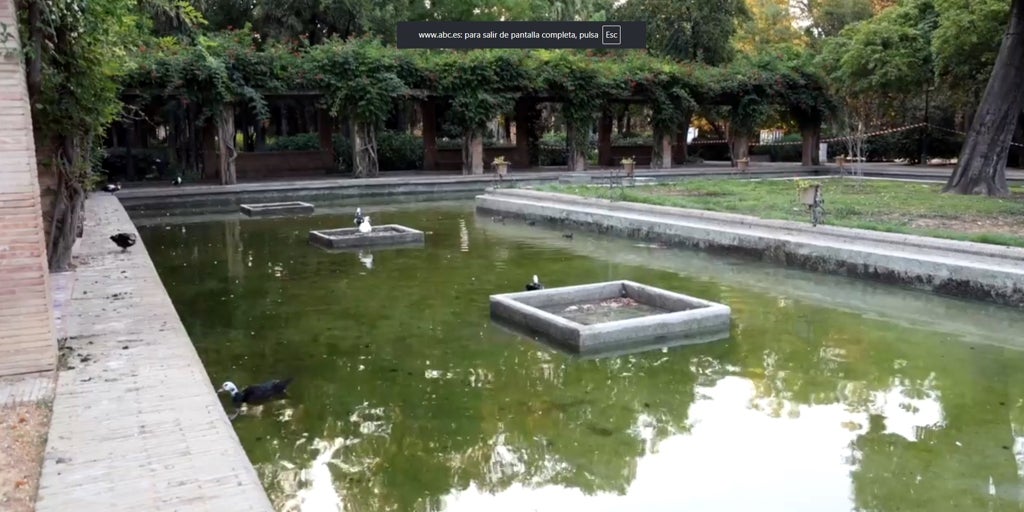 El Ayuntamiento de Sevillla cierra el parque de María Luisa por el brote de gripe aviar