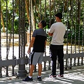 Imagen - En total, este jueves se han encontrado cinco patos muertos en el Parque María Luisa, por lo que Sanz ha ordenado el cierre del parque como medida preventiva