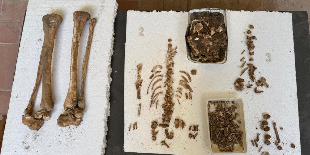 Hallan enterramientos de los siglos XVI al XVIII en las excavaciones de la sinagoga de Utrera