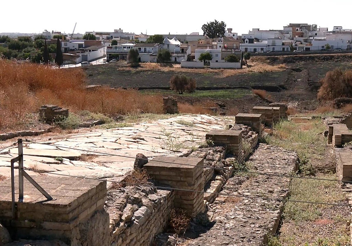 Zona afectada por el fuego del pasado agosto del Conjunto Arqueológico de Itálica.