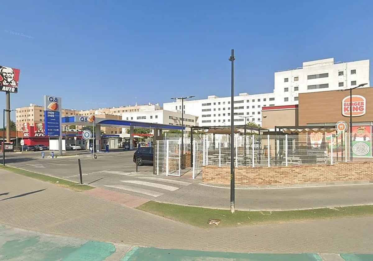 La parcela de Pino Montano que investiga la UCO