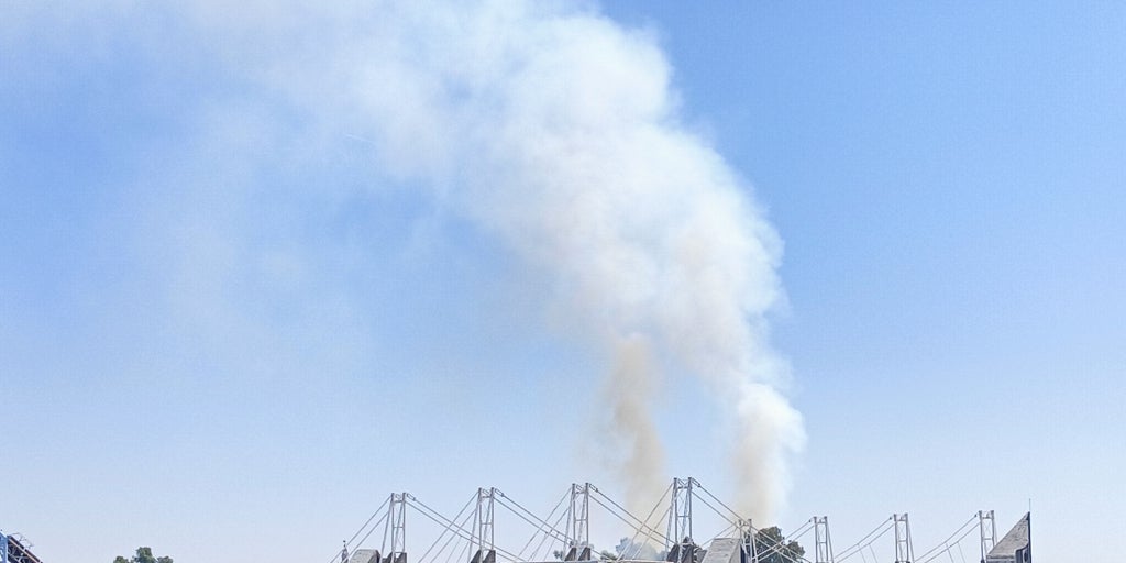 Sale ardiendo la arboleda junto al auditorio Rocío Jurado de la Cartuja