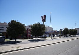 La investigación sobre la parcela de la mujer del socialista Rafael Pineda parte de una causa por narcotráfico