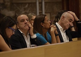 Nervios en el PSOE por la pregunta en el Pleno sobre la parcela de la mujer de Rafael Pineda
