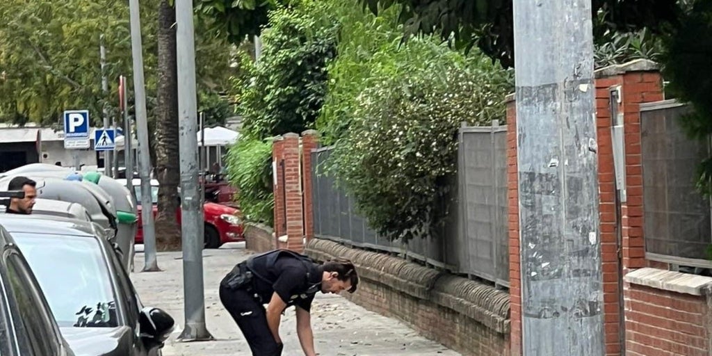 Dejan en libertad con cargos al detenido por una agresión sexual en Los Remedios