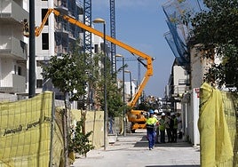 Metrovacesa promoverá otras 130 VPO adicionales en suelos terciarios de Palmas Altas