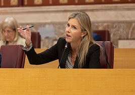 Vox amaga en el Pleno con romper con José Luis Sanz en medio de la negociación del presupuesto para 2026