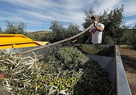 Andalucía volverá a crecer este año por encima de la media nacional, según BBVA Research