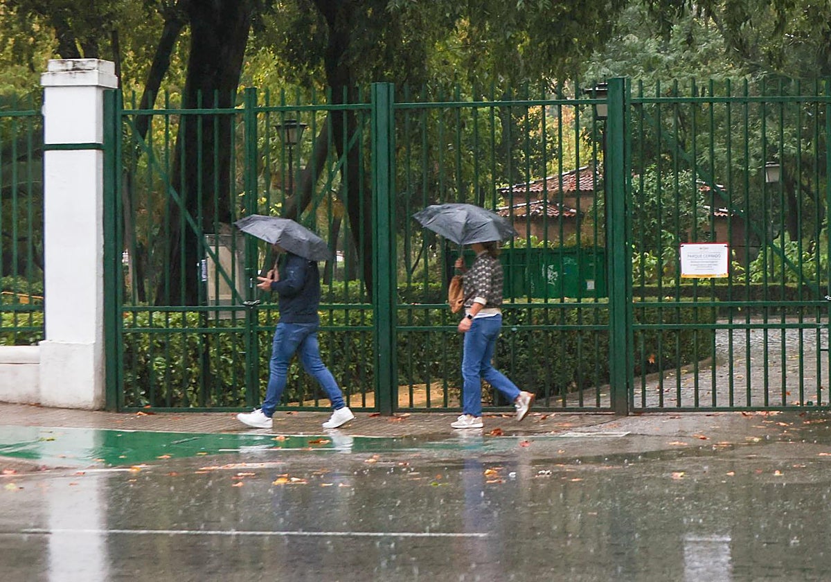 Gente caminando bajo la lluvia este miércoles en Sevilla
