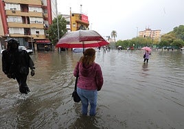 Estas son las zonas de Sevilla donde más ha llovido: seis pueblos superan los 84 litros por metro cuadrado