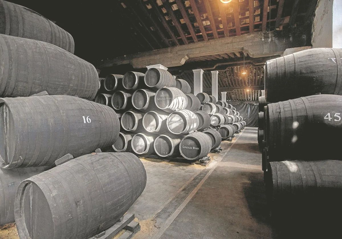 www.abc.es