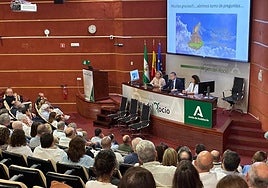 Seis especialidades del Hospital Virgen del Rocío de Sevilla están entre las 100 mejores del mundo