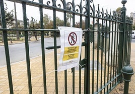 Sevilla activa su Plan de Emergencias por la alerta naranja por lluvias: cierra parques, instalaciones deportivas y talleres de distrito