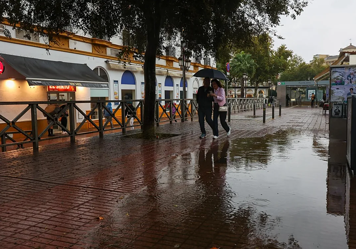 Dos personas caminan protegiéndose de la lluvia por el Paseo de Cristina, en el centro de Sevilla