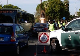 La Guardia Civil detecta un repunte de robos e irregularidades en la campaña de la aceituna con 143 investigados en Sevilla