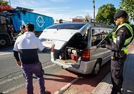 Así blinda la Guardia Civil el campo contra el robo de aceitunas: más de 2.430 actuaciones con inspecciones, drones y helicópteros