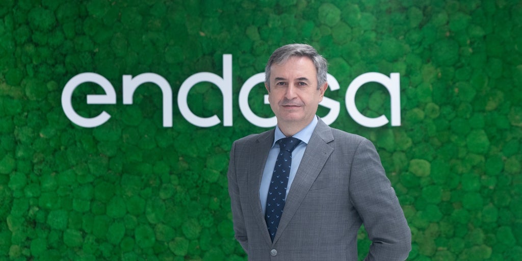 Rafael Sánchez (Endesa):  «Los proyectos acaban en Francia, vivir sin redes es renunciar al crecimiento»
