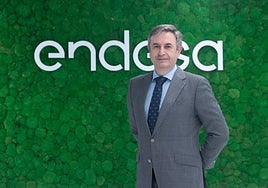 Rafael Sánchez (Endesa):  «Los proyectos acaban en Francia, vivir sin redes es renunciar al crecimiento»