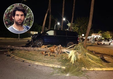 El torero Cayetano Rivera estrella su furgoneta contra una palmera y se niega a hacerse la prueba de alcohol