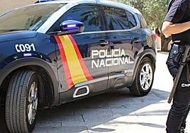 Desmantelada una plantación de marihuana en una vivienda en Sevilla