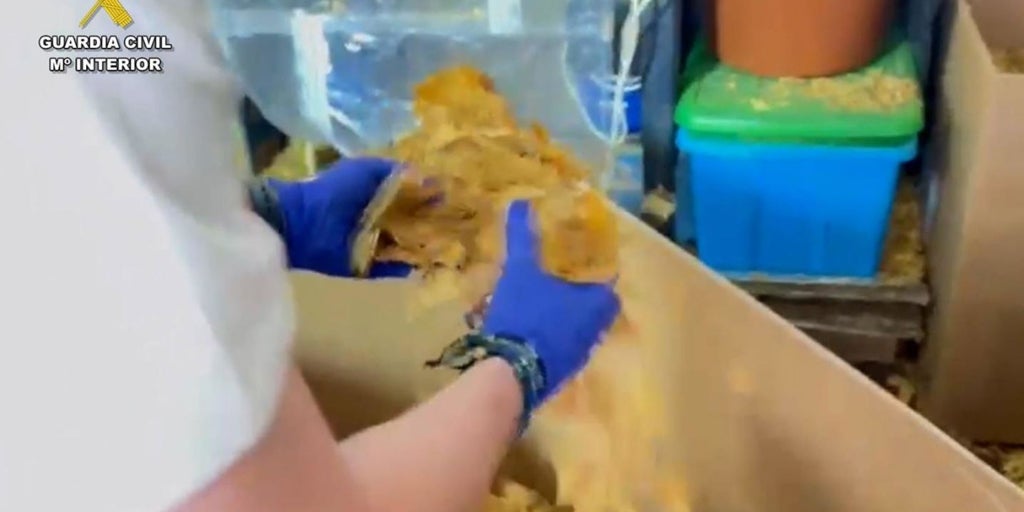 Golpe al tabaco ilegal en Sevilla: 45 detenidos y 10 millones de cigarrillos incautados