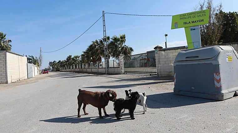 Propriedade Industrial do Príncipe de Gales
