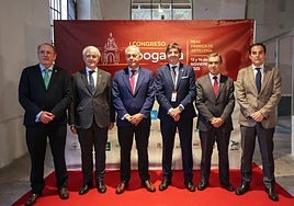 Arranca el I Congreso de la Abogacía de Sevilla con los «nuevos retos» del sector, aviso por la Ley de Eficiencia y apoyo a los mutualistas