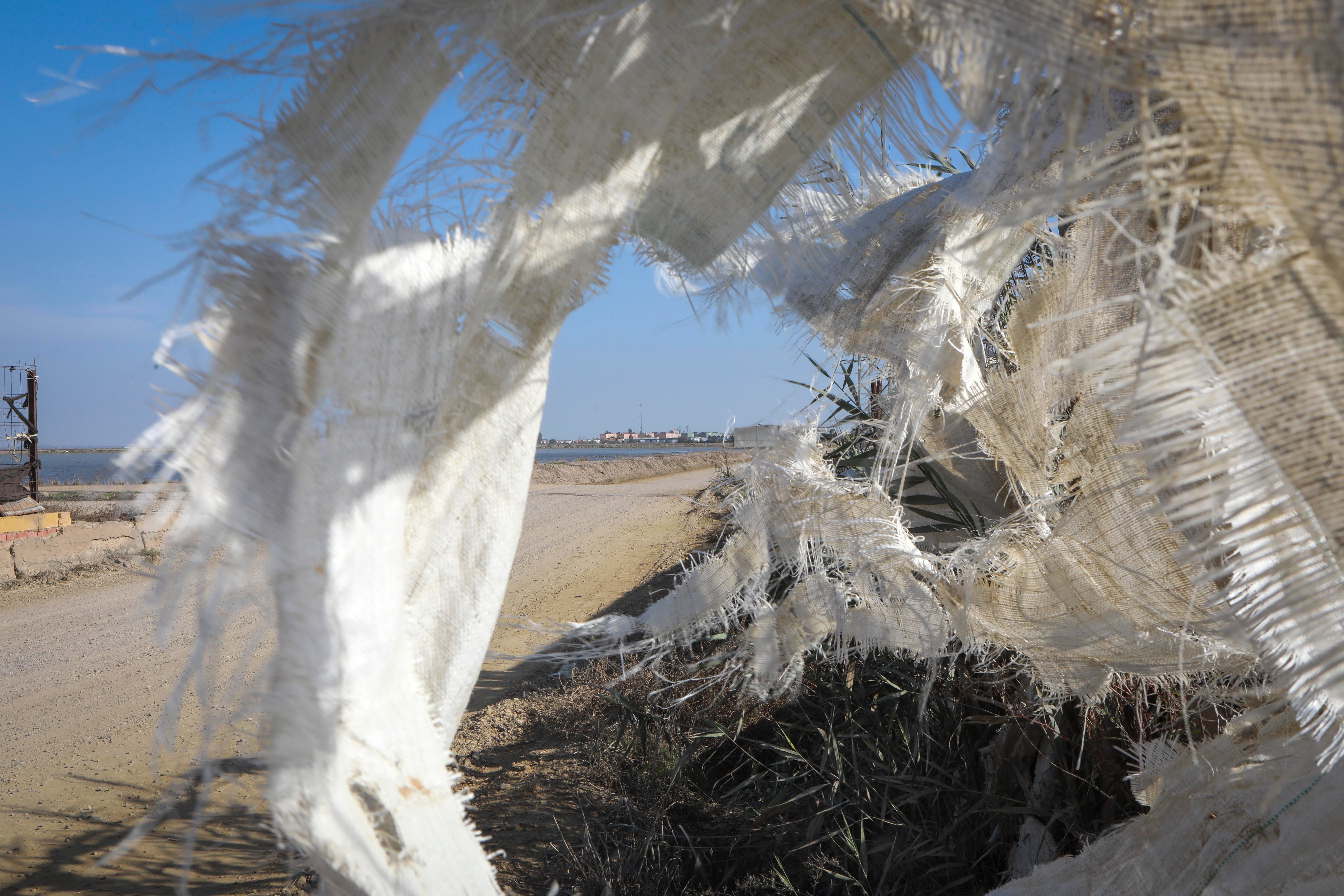 Isla Mayor, entre la ley del silencio y el estigma del narco, en imágenes