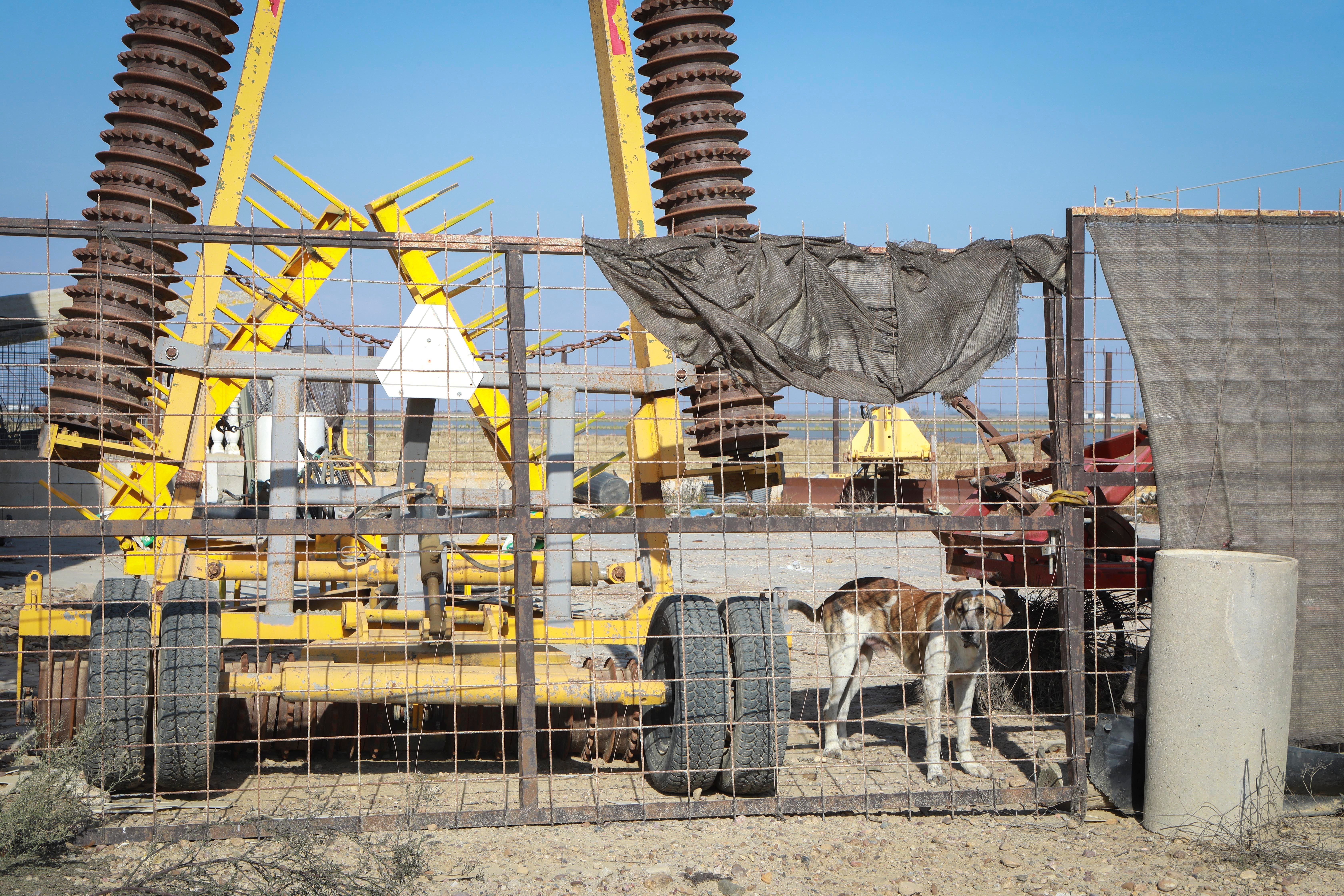 Isla Mayor, entre la ley del silencio y el estigma del narco, en imágenes