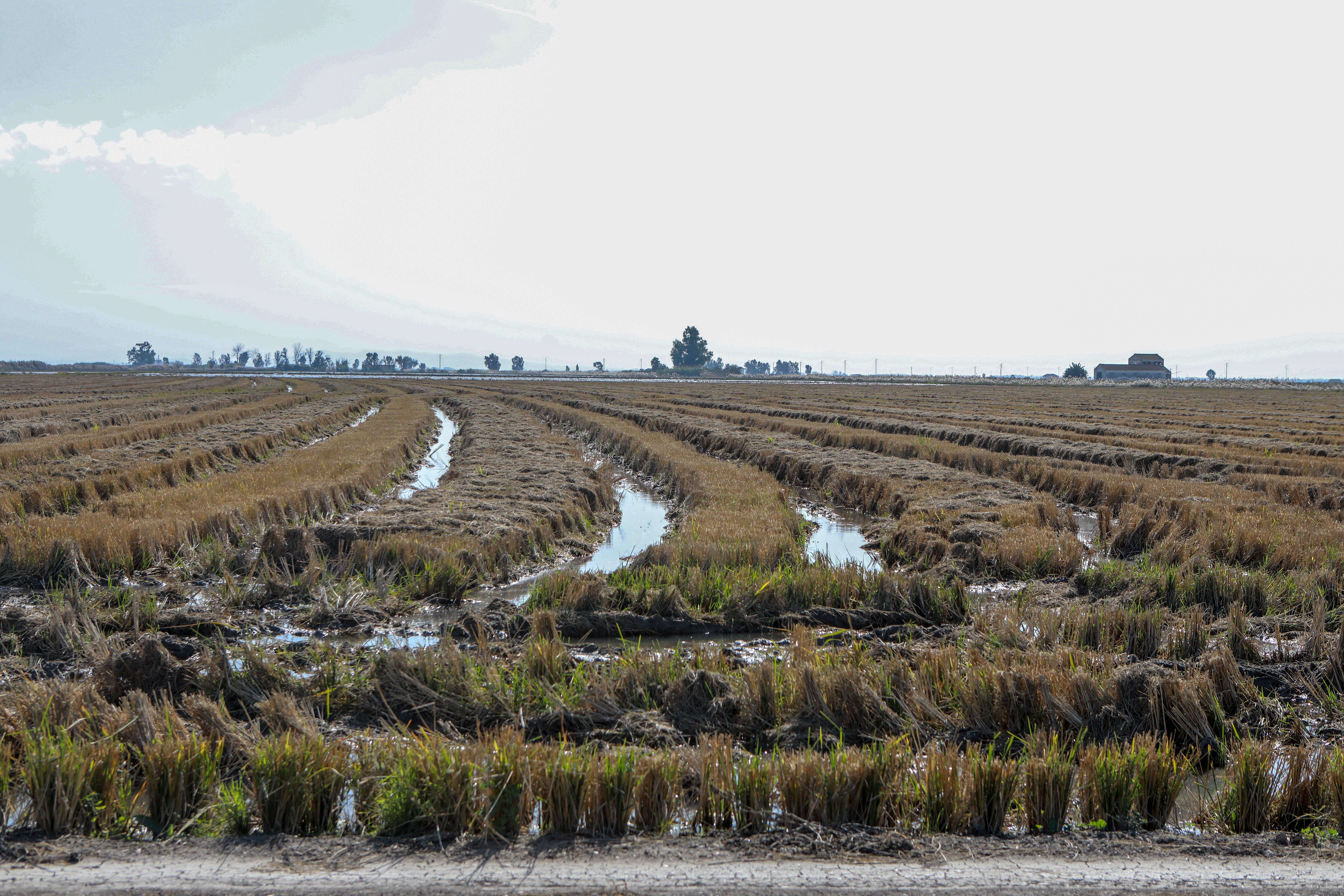 Isla Mayor, entre la ley del silencio y el estigma del narco, en imágenes