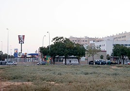 El socialista Rafael Pineda recurre la personación de Emvisesa en el caso de la parcela del Higuerón