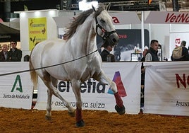 Las mejores imágenes de ambiente del primer día del Sicab