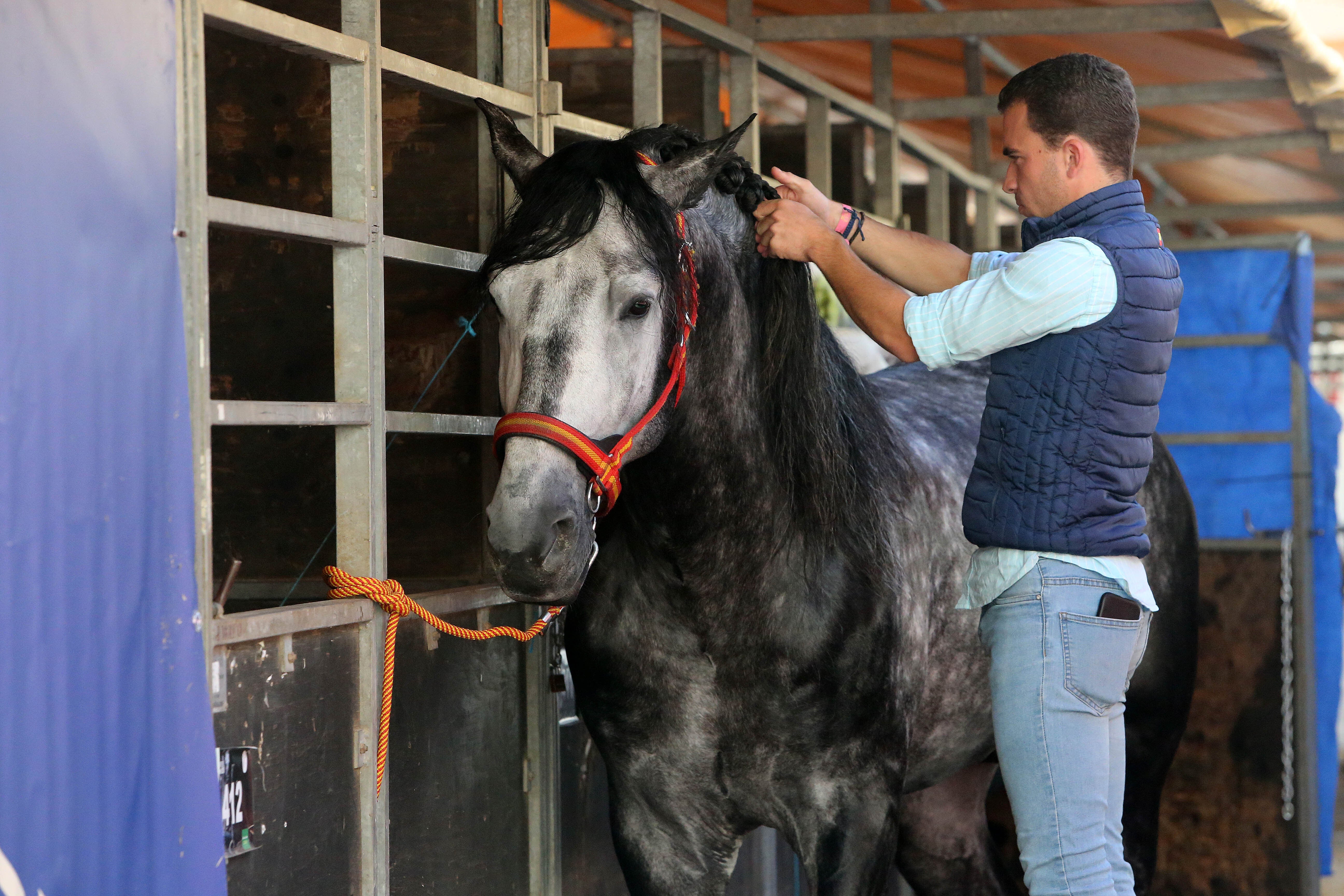 Las mejores imágenes de ambiente del primer día del Sicab