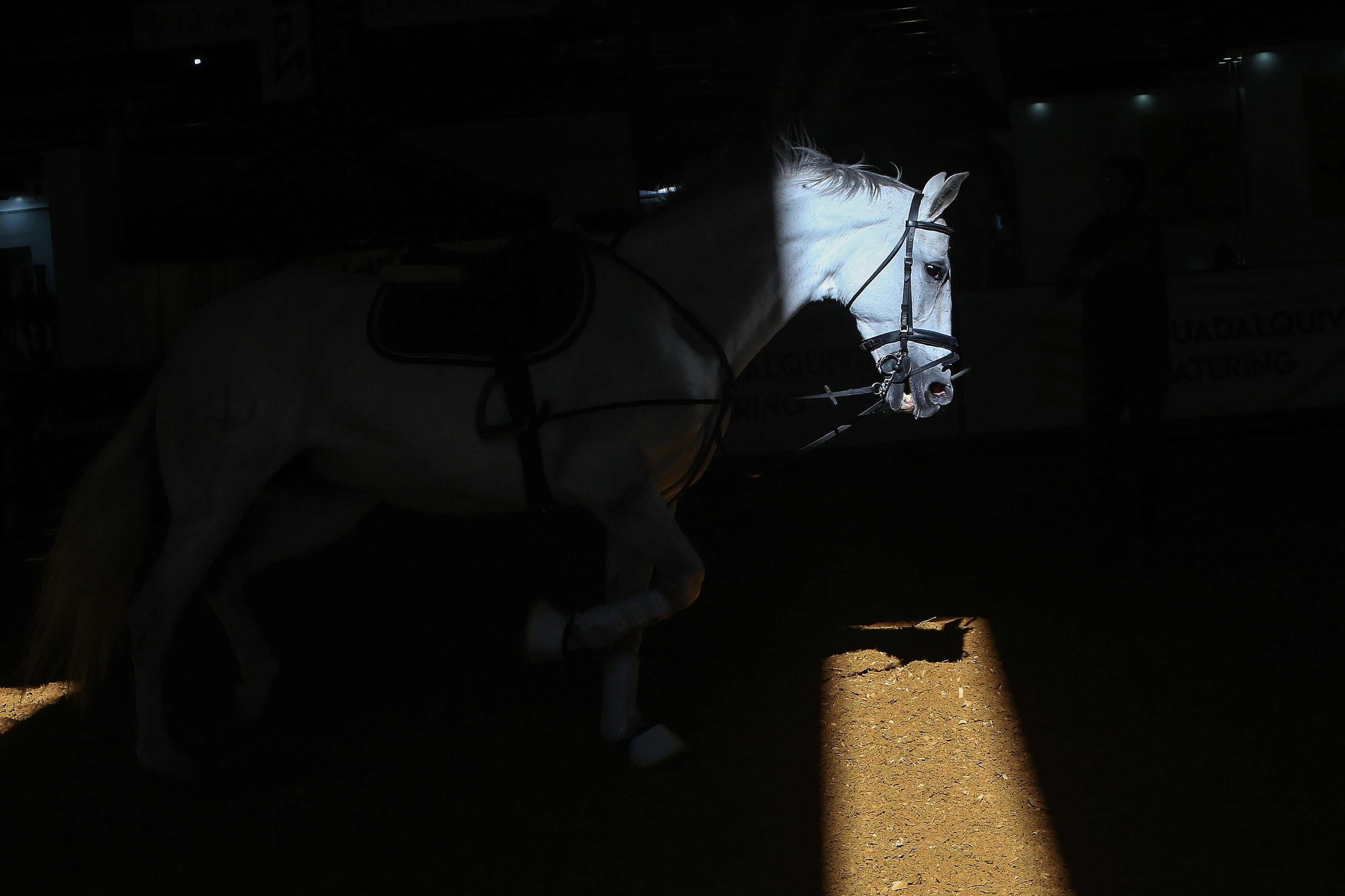 Las mejores imágenes de ambiente del primer día del Sicab