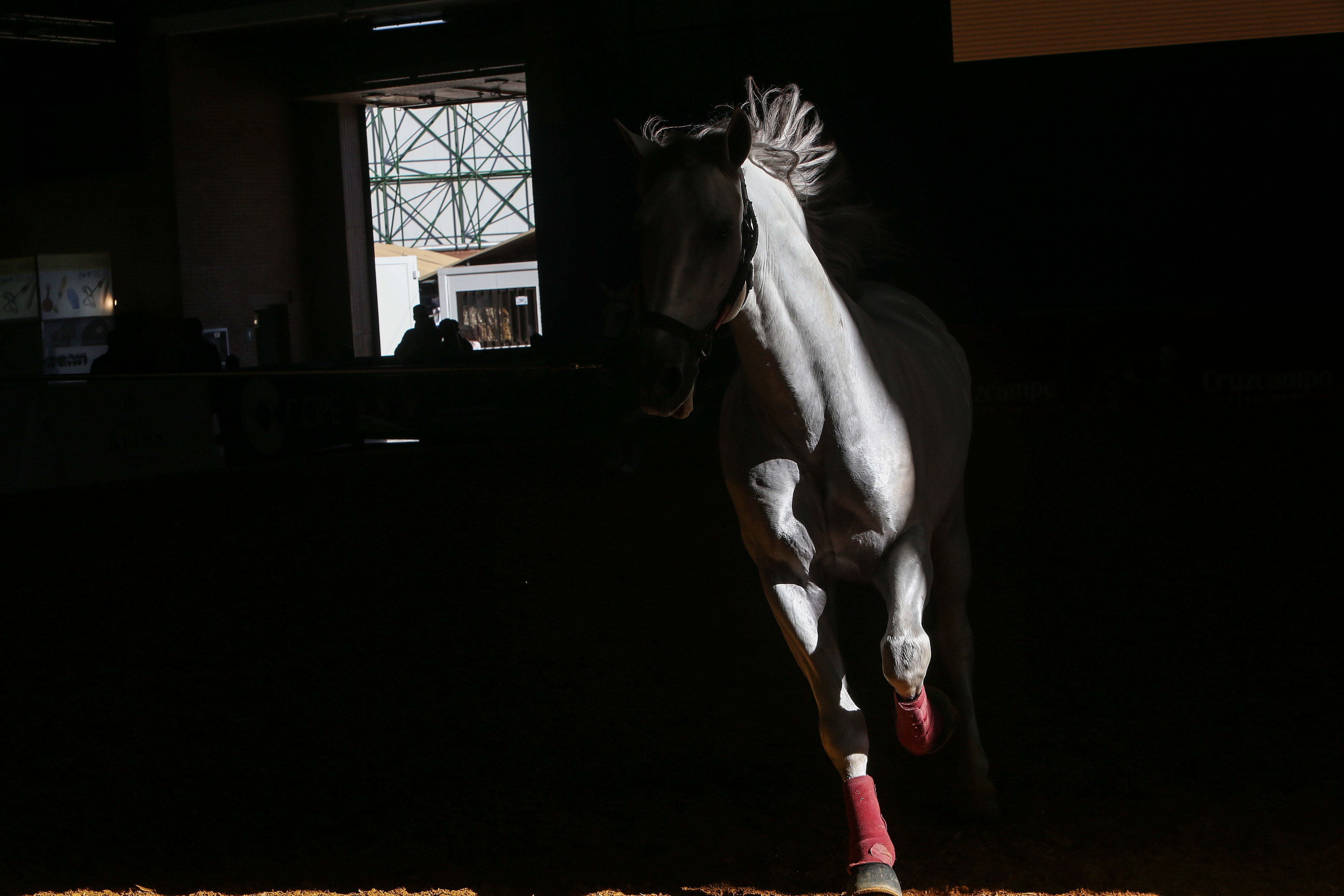 Las mejores imágenes de ambiente del primer día del Sicab