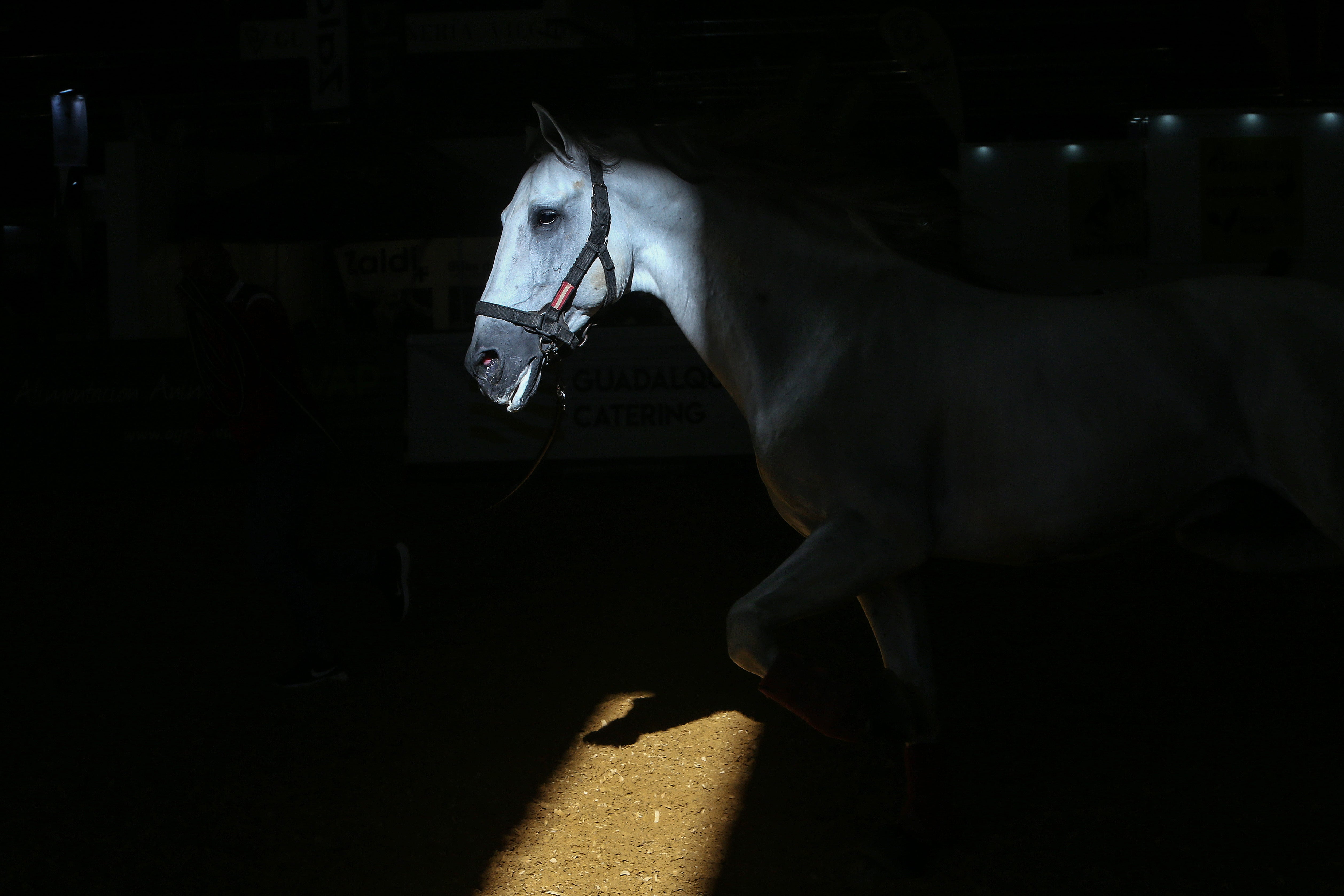 Las mejores imágenes de ambiente del primer día del Sicab