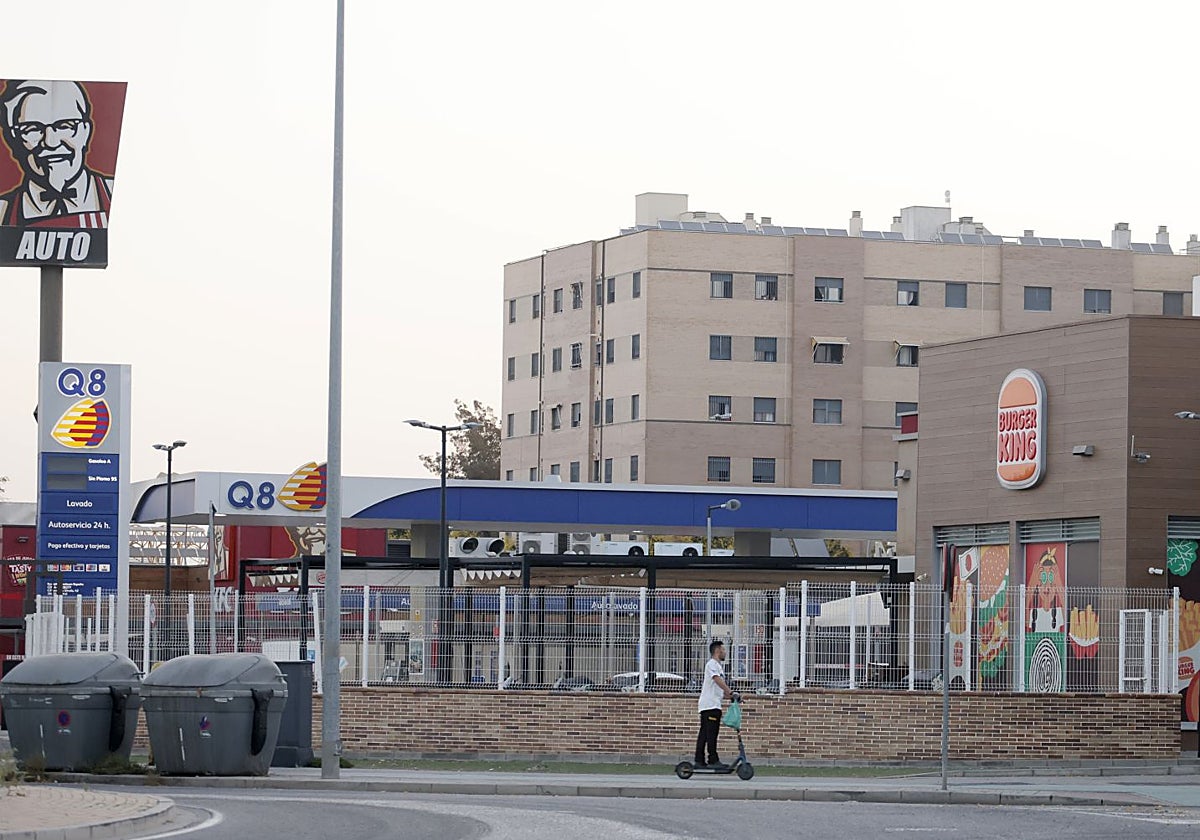 Parcela en Higuerón que fue alquilada y vendida por Emvisesa a la mujer del socialista Rafael Pineda