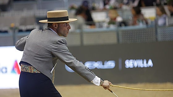 En imágenes, segundo día de Sicab 2025 en Sevilla
