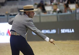 En imágenes, segundo día de Sicab 2025 en Sevilla