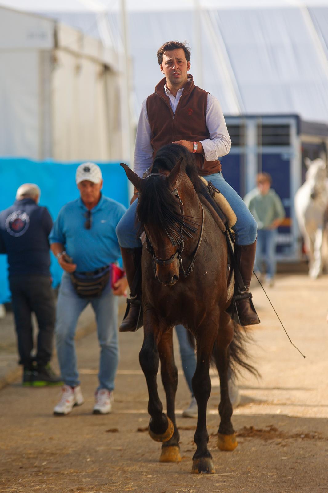 En imágenes, segundo día de Sicab 2025 en Sevilla