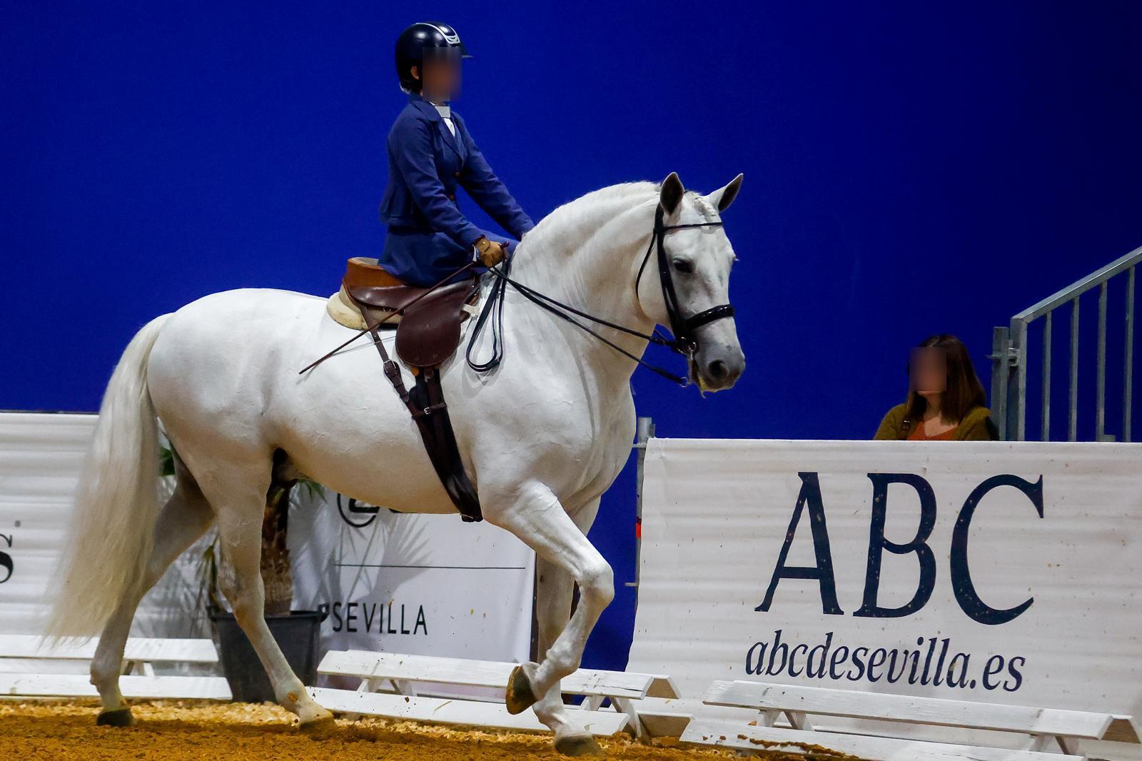 En imágenes, segundo día de Sicab 2025 en Sevilla