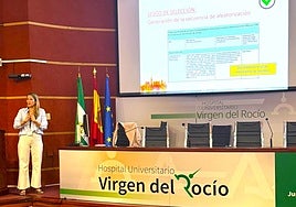 Doce ponentes de siete hospitales participan en en el curso de medicamentos organizado por el Virgen del Rocío