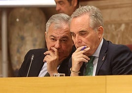 Emvisesa pedirá revertir la venta de la parcela del Higuerón a la mujer de Pineda