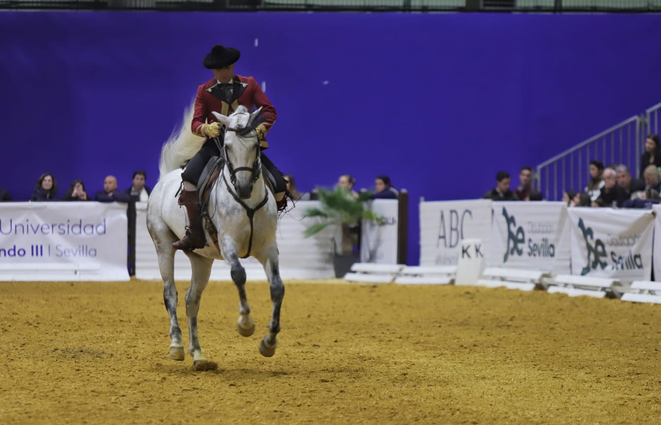 Así ha sido el cuarto día de Sicab en Sevilla: desde cocina en directo hasta demostración de trenzado para competición