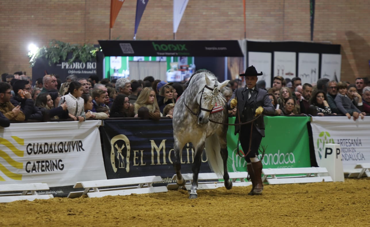 Así ha sido el cuarto día de Sicab en Sevilla: desde cocina en directo hasta demostración de trenzado para competición