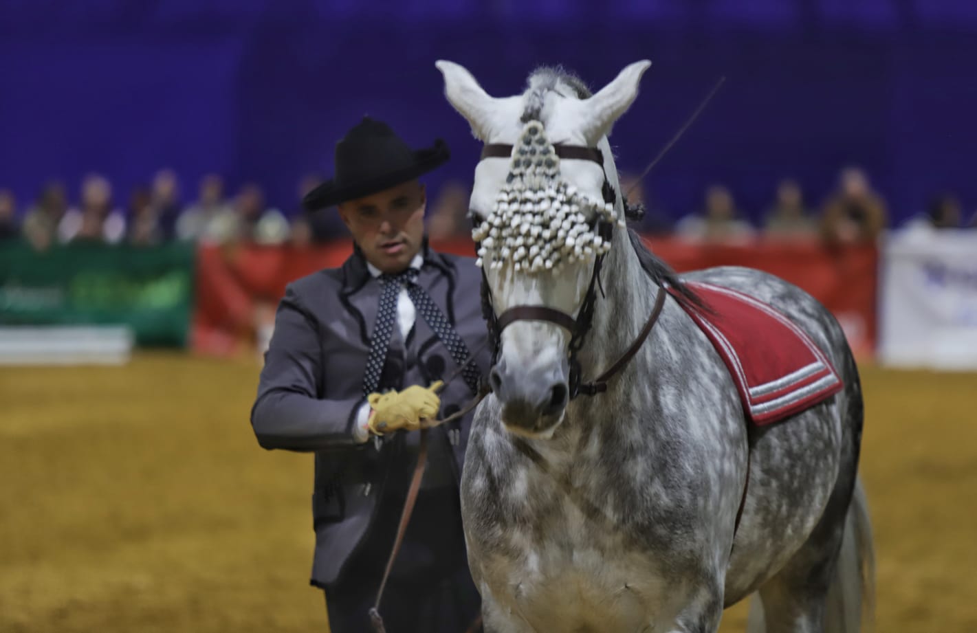 Así ha sido el cuarto día de Sicab en Sevilla: desde cocina en directo hasta demostración de trenzado para competición
