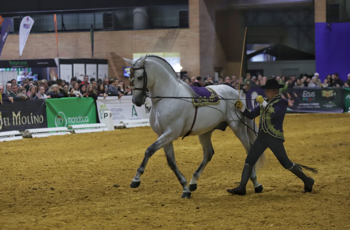 Así ha sido el cuarto día de Sicab en Sevilla: desde cocina en directo hasta demostración de trenzado para competición
